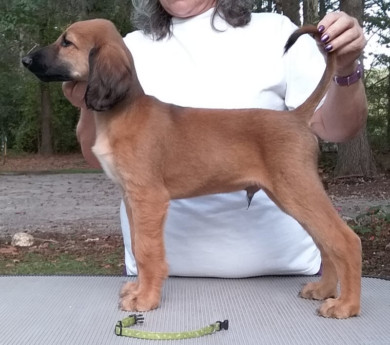 Green Boy 8 Weeks.jpg - 1659 K